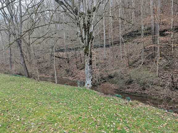 4th image of 456 Arnetts Fork Rd