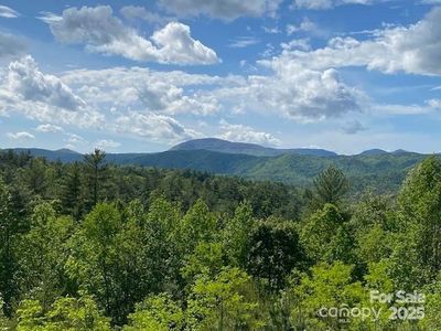 241 Peppervine Cir, Rosman, NC, 28772
