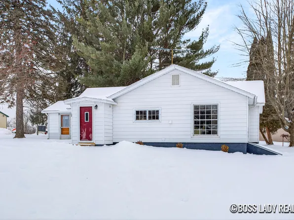 204 S Grove St, Stanton, MI 48888