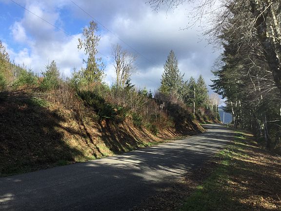 South edge of property
