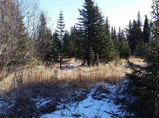 73467 Finlander Ct, Anchor Pt, AK 99556