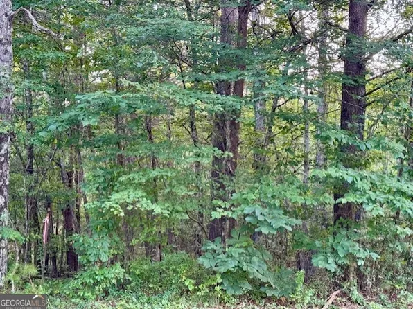 0 Gilreath Mill Rd, Menlo, GA 30731