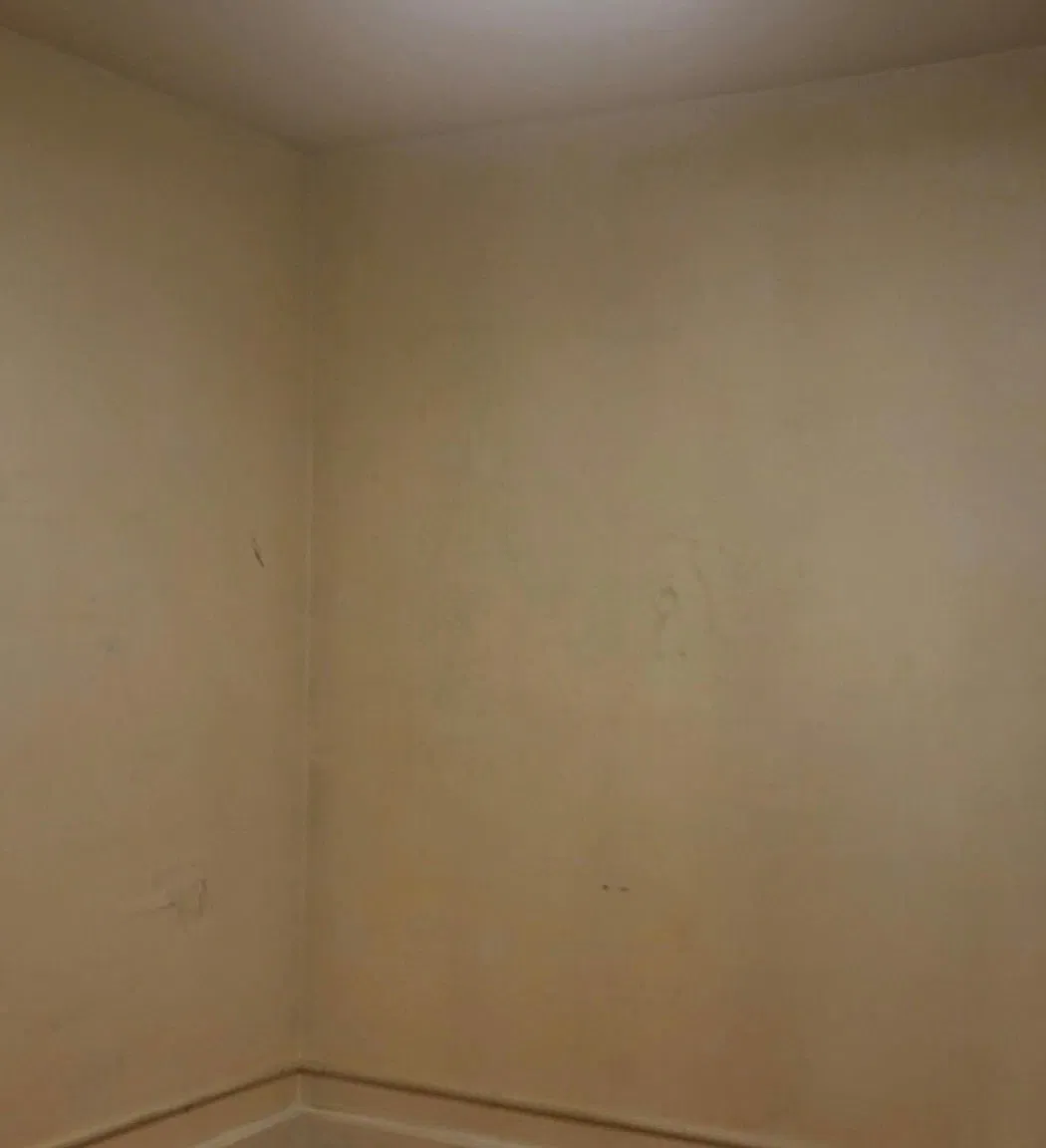 3 bed, $2,800 — Photo 3