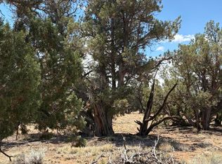 57 County Road 7209, Saint Johns, AZ 85936