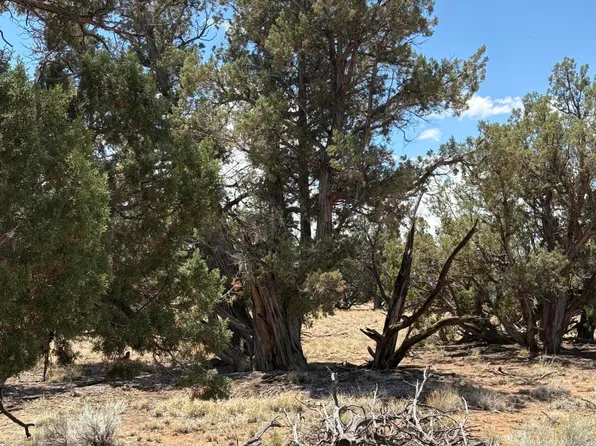 57 County Road 7209, Saint Johns, AZ 85936