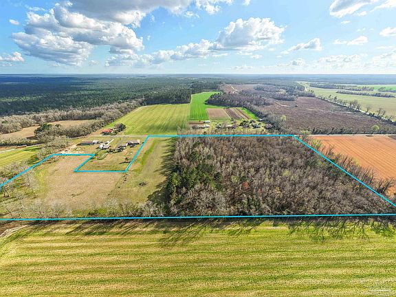 5th image of 6562 Will Jones Rd