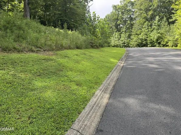 11 Cove Springs Dr Lot 11, Dandridge, TN 37725