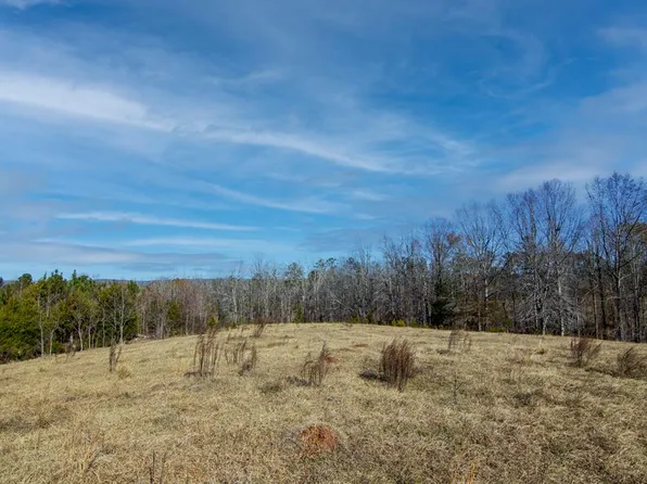 TRACT Four 0 Chestnut Grove Rd, Shiloh, GA 31826