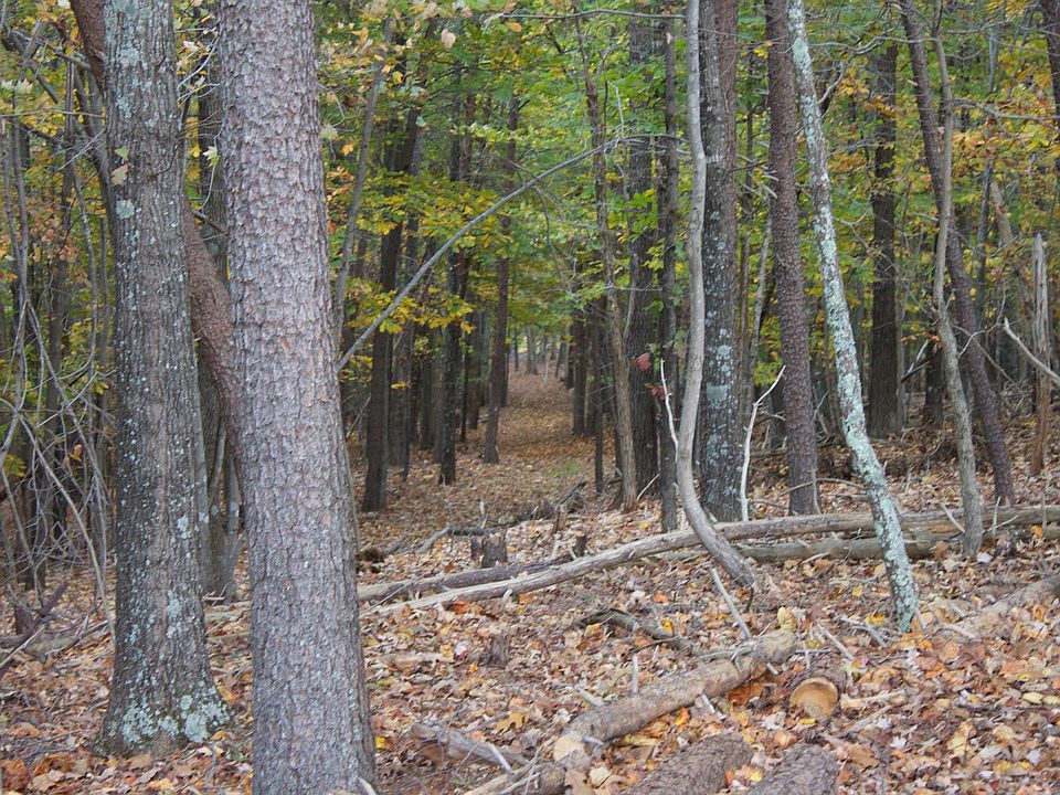 2nd image of 6500 Cottontown Rd