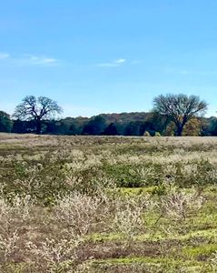 228 Cheaney Rd, Valley View, TX, 76272