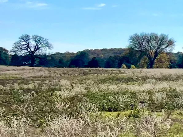 228 Cheaney Rd, Valley View, TX 76272