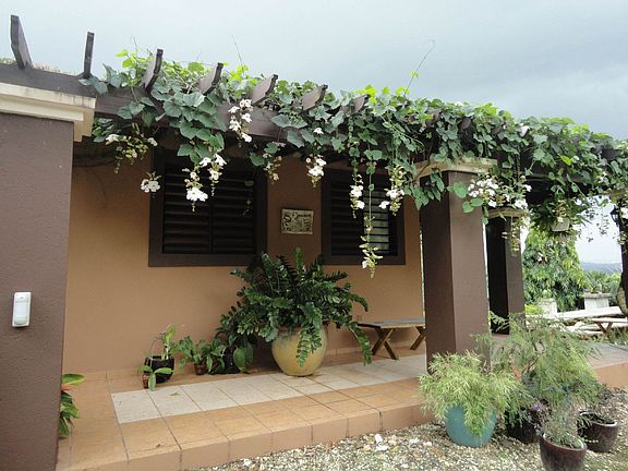 Side View of Home