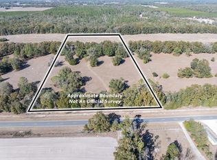 Lot 3 County Road 236, Bell, FL 32619
