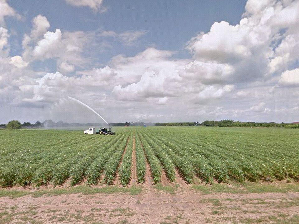 Great home-site/nursery