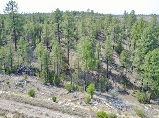 1747 Eskimo Ln, Heber, AZ 85928