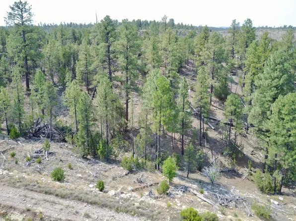 1747 Eskimo Ln, Heber, AZ 85928