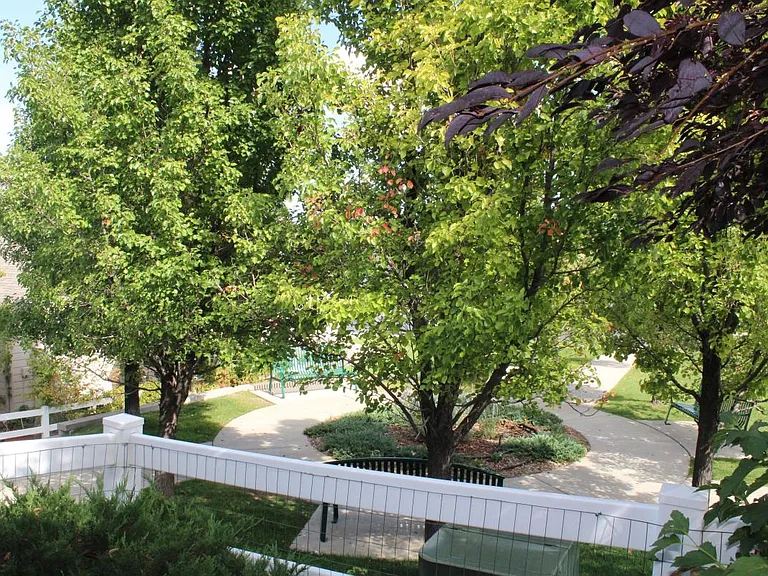 view from patio