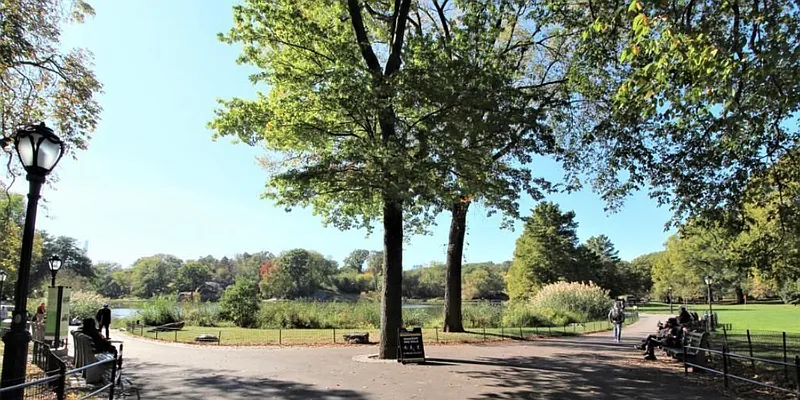 Rented by Green Home NY Realty LLC | media 7