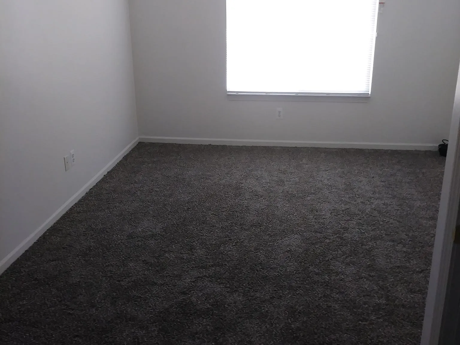2 bed, 1000 sqft, $1,200 — Photo 3