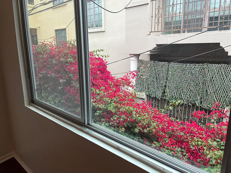 Flowers everywhere