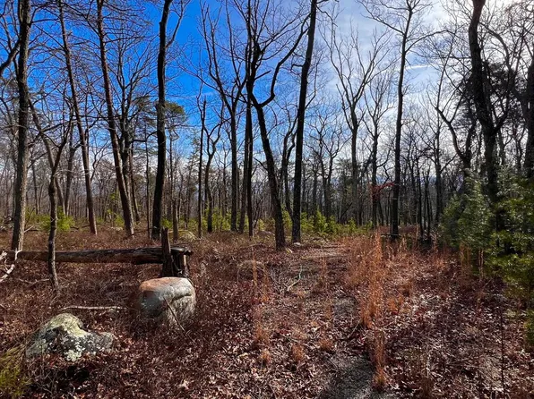 LOT Short Pine Ct #17 & 18, Yellow Spring, WV 26865