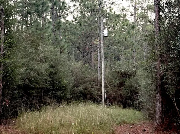 16512 Scotch Pine Dr, Vancleave, MS 39565