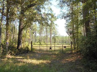 0 Bragg Rd, Kountze, TX 77625