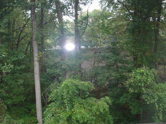 4th image of 7718 Lafayette Forest Dr APT 33