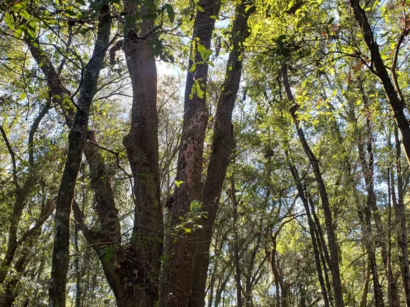 0 NW White Springs Ave, White Springs, FL 32096