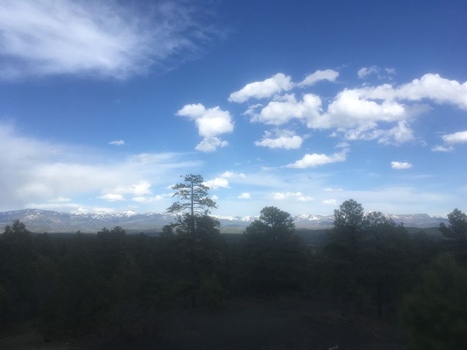 1st image of 105 Cool Pines Dr