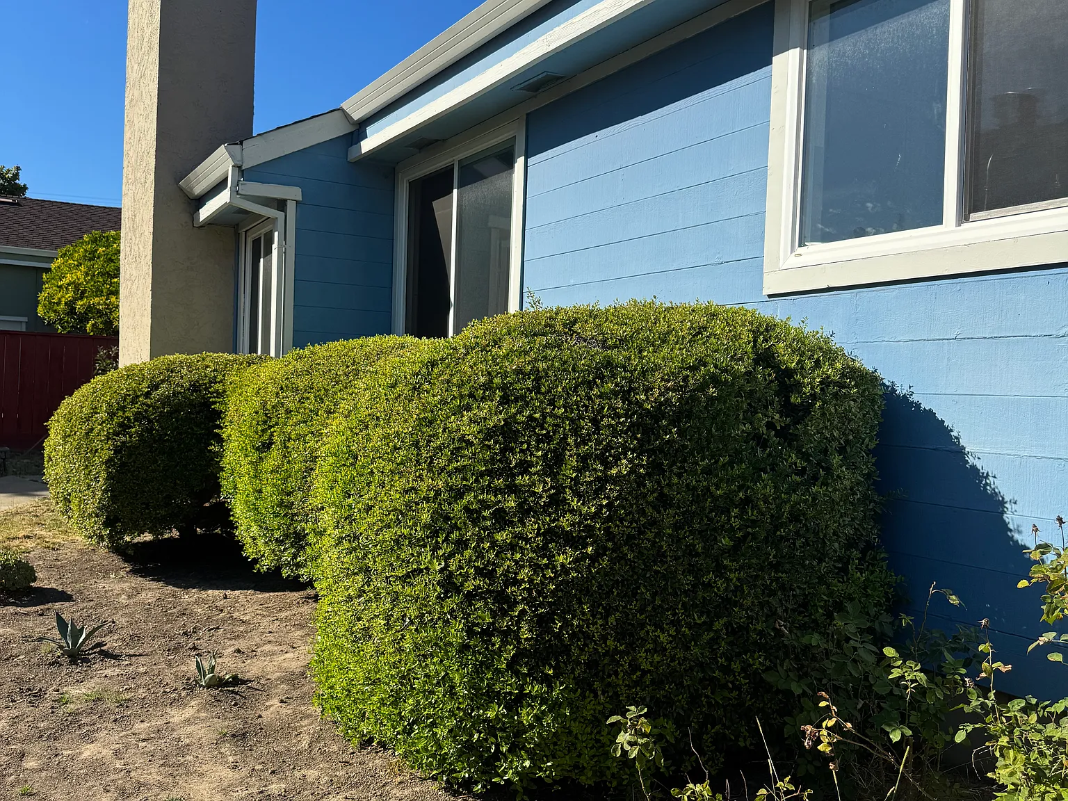 3 bed, 1710 sqft, $6,300 — Photo 3