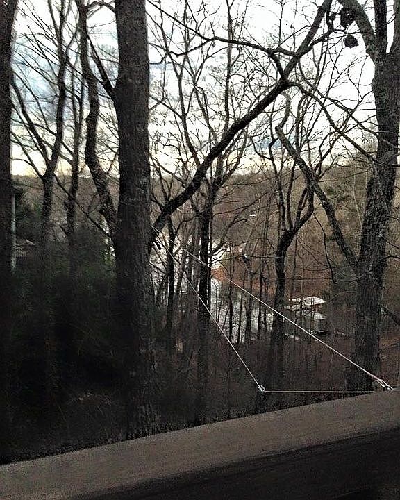 View from Deck #1