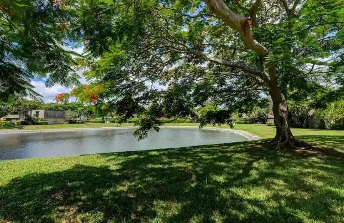 2 bed, 2.5 bath, 1236 sqft, $2,575 — Photo 3