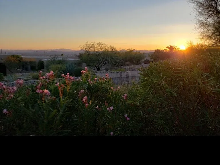 7601 N Calle Sin Envidia — Photo 2