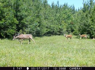 1055 Barron Cut Off Rd, McComb, MS 39648