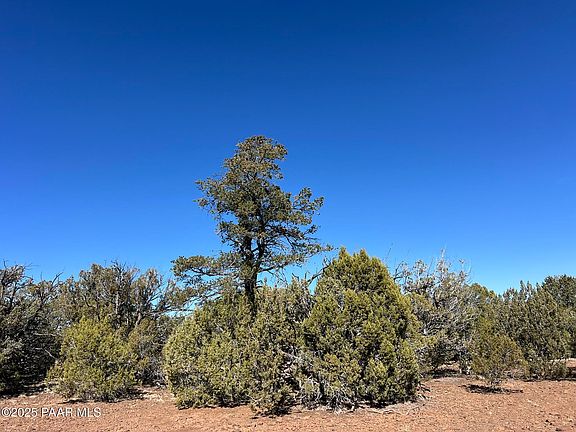 5th image of 721 N Shadow Rock Trl