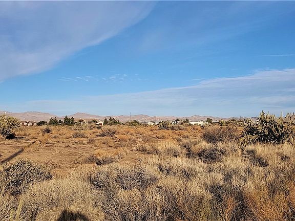 3rd image of . N Teddy Roosevelt Road