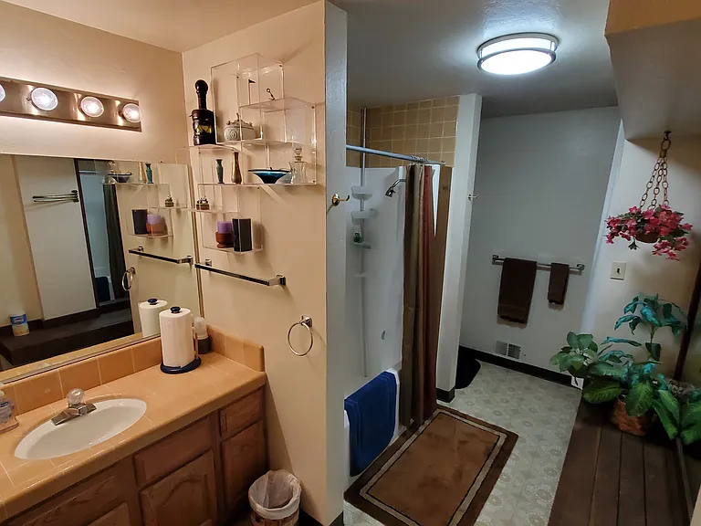 Downstairs full master bath