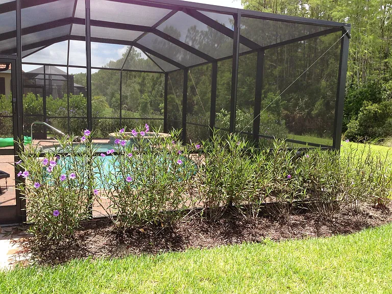 Nature area behind home/Privacy