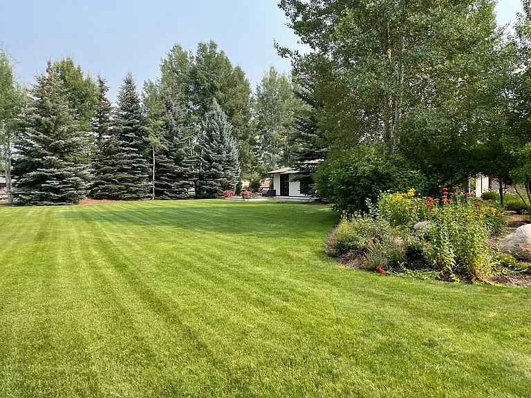 North lawn