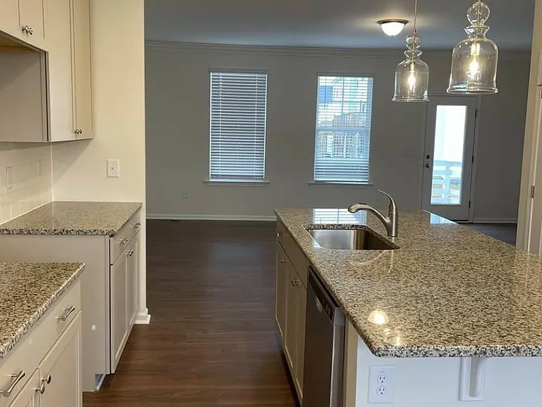 1119 Diamond Dove Ln — Photo 6