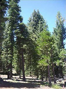 1st image of 146 Snowy Peak Way
