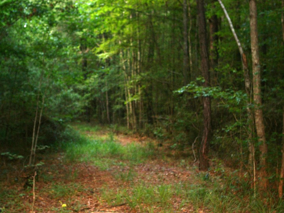 Contact Gibson Realty ,Mr. H