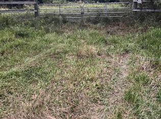 155 Deer Run, Osteen, FL 32764