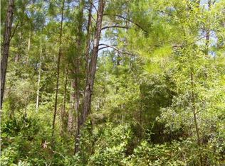 LOT Bayside Dr #B, Freeport, FL 32439