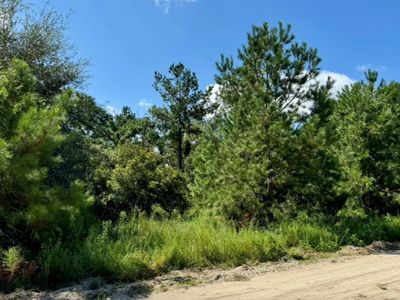 LOT 2 NW 63rd Ter, Jennings, FL, 32053
