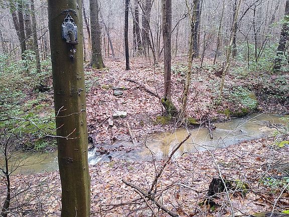 Front Stahl Run View