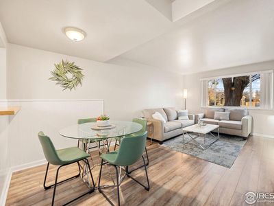 219 Chestnut St #C4, Windsor, CO, 80550