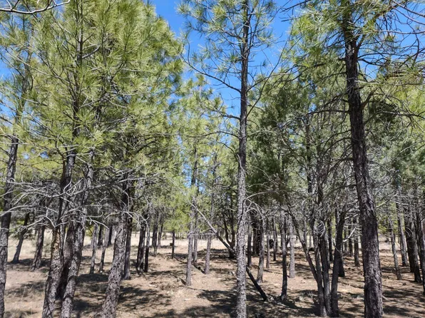 4499 Stargazer Dr, Happy Jack, AZ 86024