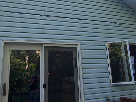 Back Entrance to the Woods